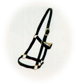 Halters